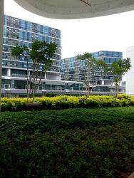 Oxley Bizhub (D14), Factory #640252671